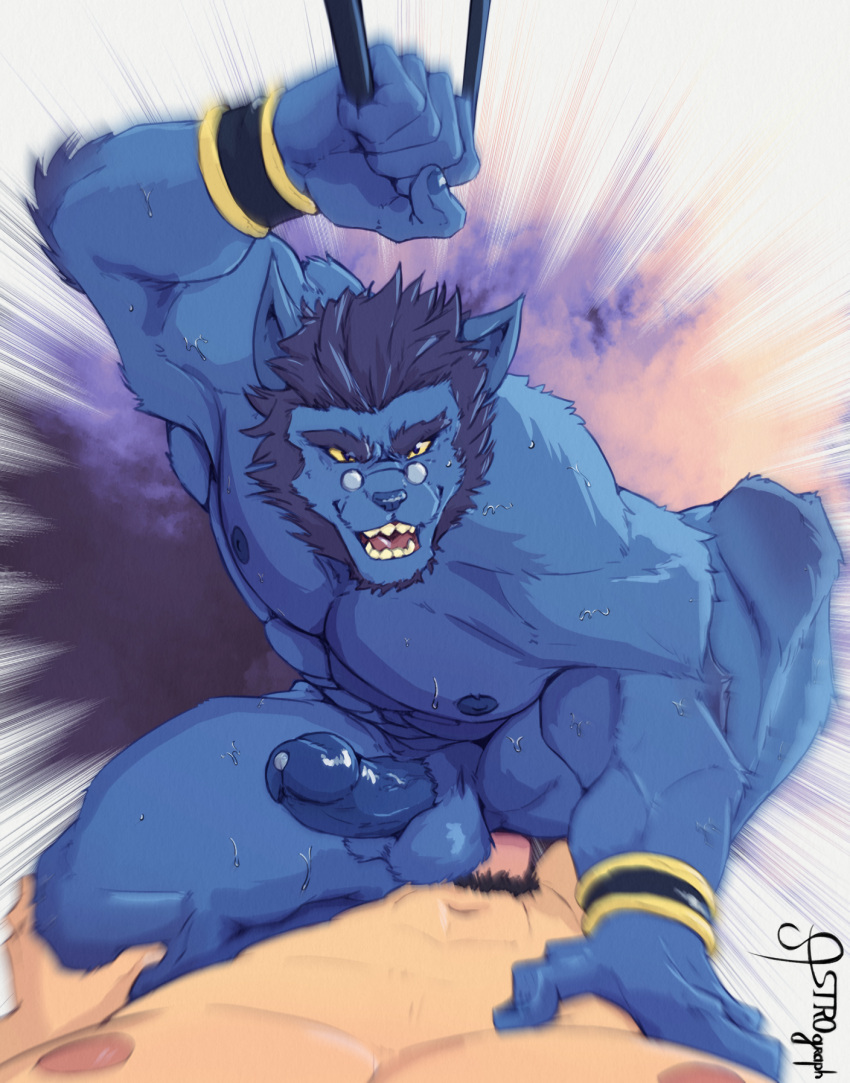 anal anal_sex anthro astrograph balls bara beast_(x-men) blue_body blue_fur blue_skin boner erection furry gay glasses hank_mccoy male male_only marvel marvel_comics muscles muscular nude penis sex spread_legs sweat sweating x-men