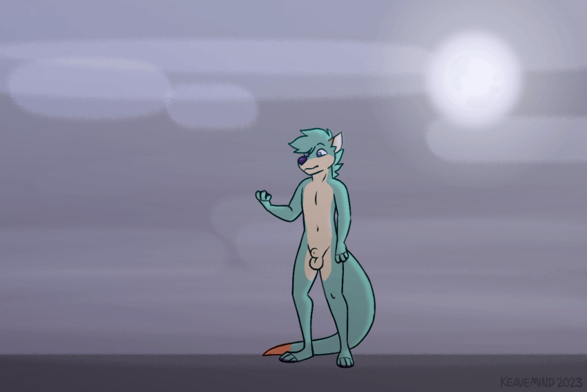 1boy 2023 animal_genitalia animated anthro anthro_to_feral balls balls_expansion becoming_erect big_balls big_penis big_sheath blue_body blue_fur body_size_growth breath canid canine canine_genitalia erection expansion feral fur genital_expansion genitals getting_erect gif hybrid keavemind knot looking_at_viewer male male_only mammal moon mustelid otter panting penis penis_expansion pink_penis sheath signature simple_background size_transformation solo tail teeth throbbing throbbing_penis tongue tongue_out transformation were werecanid werecanine weremustelid wereotter werewolf