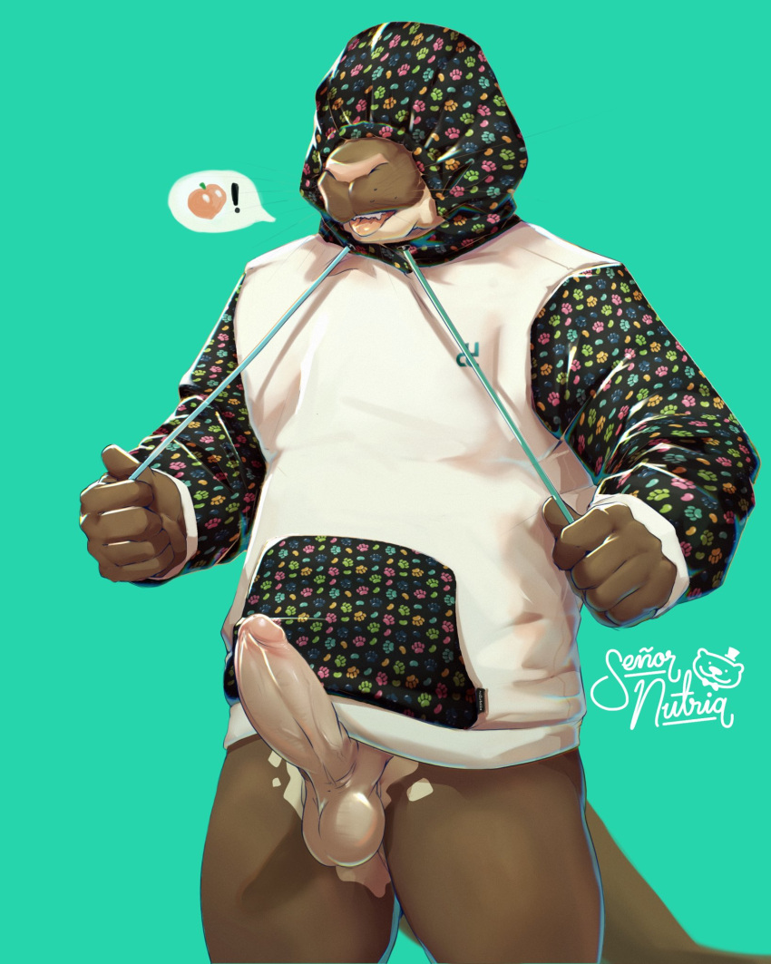 2023 anthro balls big_penis blep bottomless clothed clothing covered_eyes drawstring drawstring_hoodie erection furry-specific_brand genitals giant_otter hi_res hood_up hoodie hoodie_only humanoid_genitalia humanoid_penis lewd_symbolism male male_only mammal mustelid otter penis pictographics portrait river_otter signature simple_background skrawl solo solo_male standing tail teal_background three-quarter_portrait tongue tongue_out topwear topwear_only