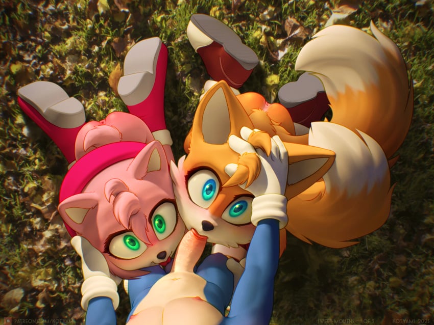 1girls 2boys amy_rose bisexual_male both_sexes_in_same_situation cock fox hedgehog kotyami mobian_(species) oral outside sega sex sonic_(series) sonic_the_hedgehog sonic_the_hedgehog_(series) tagme tails yaoi