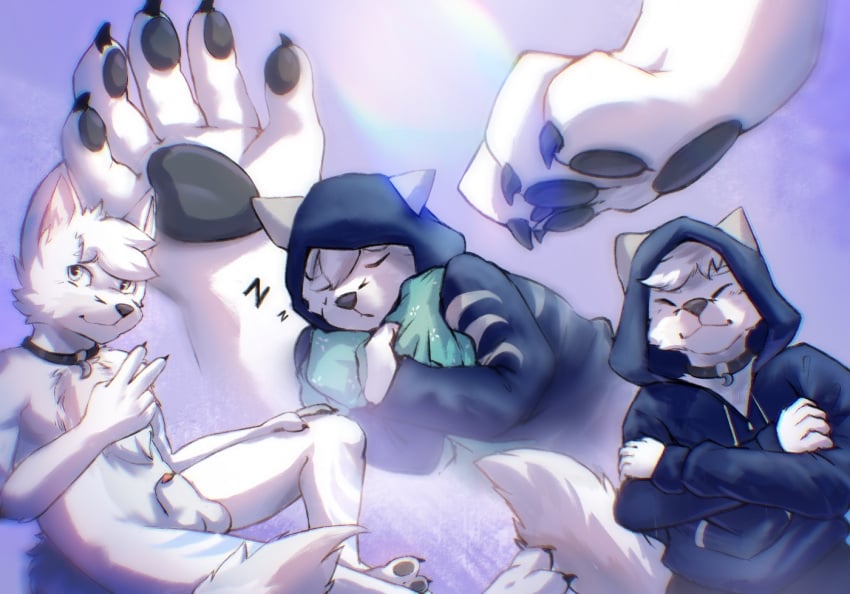 anthro blue_clothing blue_hoodie blue_topwear closed_eyes clothing fur genitals green_pillow hoodie looking_at_viewer male patreon_artist pawpads paws penis pillow purple_background simple_background sleeping solo stampmats topwear white_body white_fur