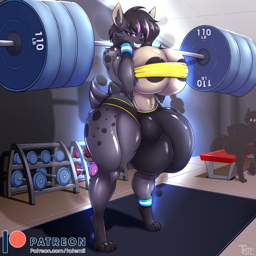 1:1 1futa absurd_res anthro areolae ball_bulge balls balls_under_clothes breasts dark-skinned_futanari flaccid futa_only futanari gym hi_res hyena hyper hyper_balls hyper_breasts hyper_penis intersex knot mammal muscular penis penis_bulge penis_under_clothes tatemil