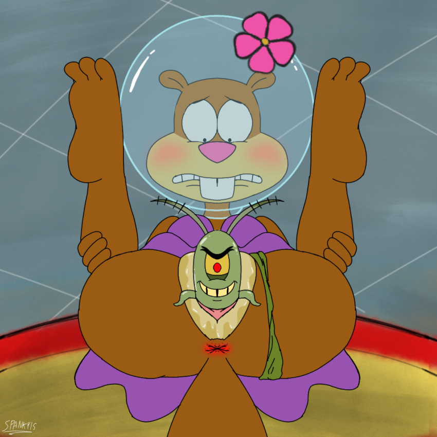 1boy 1girls anthro anus blush copepod female furry larger_female legs_behind_head male mammal nickelodeon parody pussy rape sandy_cheeks scared sheldon_j._plankton size_difference smaller_male spanky15 spongebob_squarepants squirrel