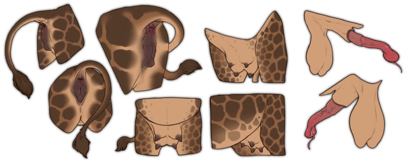 anatomically_correct anatomically_correct_genitalia anatomically_correct_penis anatomically_correct_pussy animal_genitalia animal_penis animal_pussy anus ass balls big_balls crotchboobs digital_media_(artwork) erection female feral fur genital_focus genitals giraffe giraffe_penis giraffe_pussy giraffid hi_res male mammal nipples nude penis pussy raised_tail rear_view sheath simple_background solo stygimoloch_(artist) tail teats udders white_background