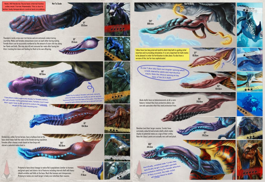 akula alien alien_only avatar avatar:_the_way_of_water banshee_(avatar) biology chart detailed direhorse feral ikran ilu killveous level_difference male_only penis_size_chart penis_size_difference prolemuris size_comparison text thanator titanothera toruk tulkun