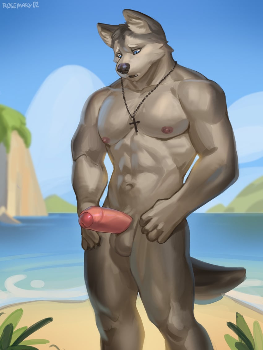 anthro beach blue_eyes canid canine canis christian_cross christian_symbol christianity cloud domestic_dog fur genitals grey_body grey_fur hi_res husky male male_only mammal muscular muscular_male nipples nordic_sled_dog penis religion rock rosemary02 sand seaside shore sky solo spitz werewolf