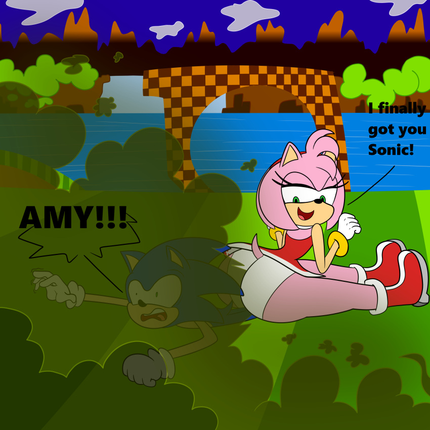 amy_rose ass big_ass big_butt biggypiggy brap fard fart fart_fetish farting farting_on_another farts fetish gassy sitting sitting_on_person sonic_(series) sonic_the_hedgehog sonic_the_hedgehog_(series) thick_ass thick_thighs