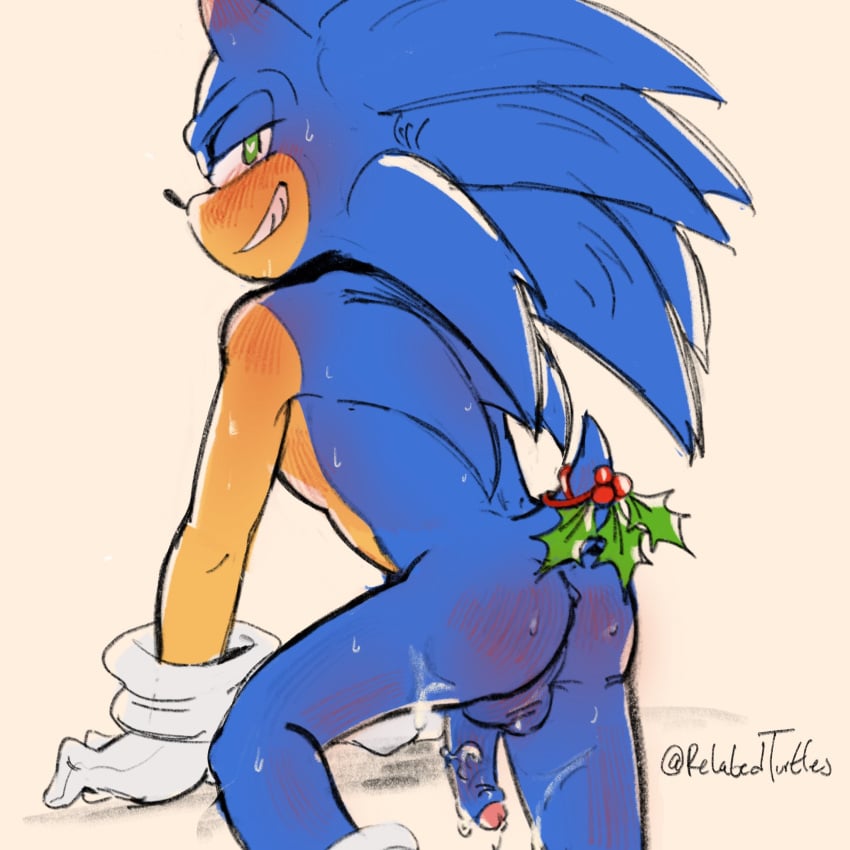 Sonic The Hedgehog (Christmas) Rule 34 Image