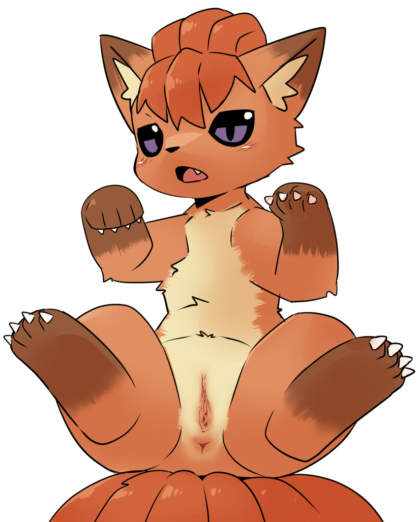 Generation 1 Pokemon (Nintendo) Rule 34 Image