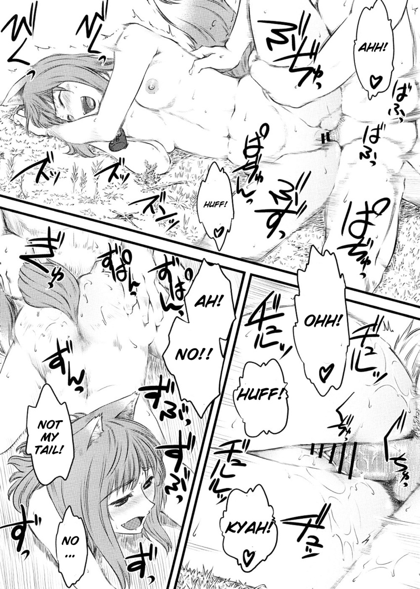 animal_ears blush breasts censored comic female hi-per_pinch holo kraft_lawrence male ookamimimi penetration sex small_breasts spice_and_wolf straight tail tail_grab vaginal_penetration