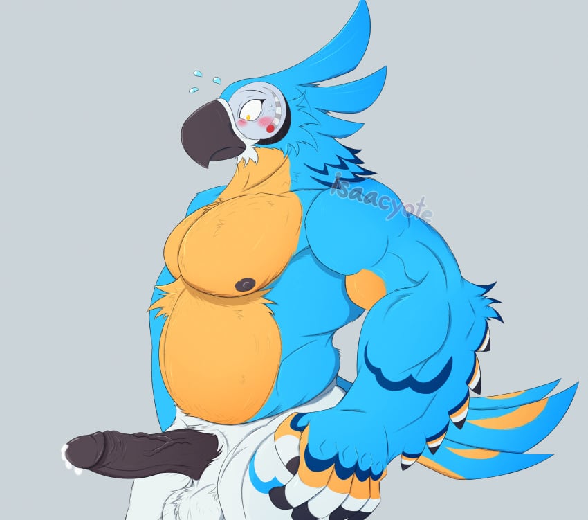 absurd_res anthro ball_tuft balls beak belly belly_tuft big_penis blue_body blue_feathers blush bodily_fluids bodily_fluids_on_penis breath_of_the_wild chest_tuft cum cum_on_penis digital_media_(artwork) dripping feathered_tail feathers fuzzy_balls genital_fluids genitals hi_res humanoid_genitalia humanoid_penis isaacyote_(artist) kass_(tloz) kass_(zelda) male male_only muscle_tone musclegut muscular muscular_anthro muscular_male nintendo nipples nude nude_male pecs penis precum precum_drip pubes shocked_expression solo standing tail the_legend_of_zelda tuft vein veiny_penis white_body white_feathers wings yellow_body yellow_feathers