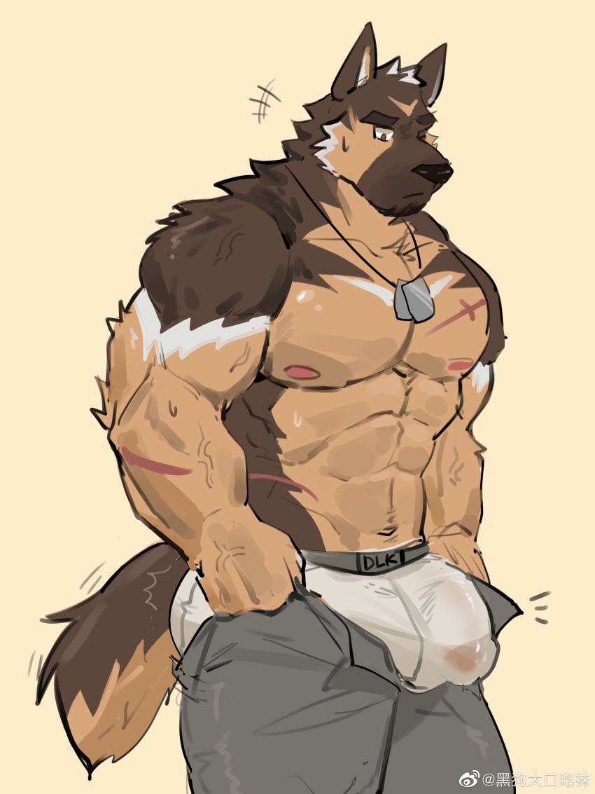 1boy abs absurdres animal_ears anthro anthro_only ass ass_lift bara bouncing_ass bouncing_bulge boxers brown_fur bulge bulge_lift covered_penis dog_boy dog_ears dog_tags dog_tail dressing facial_hair feet_out_of_frame goatee grey_pants highres large_bulge large_pectorals looking_at_bulge male_focus male_underwear mature_male meme muscular muscular_male navel nipples open_pants original pants pants_lift pectorals run_(arun_six) scar scar_on_arm scar_on_chest see-through short_hair sideburns solo stomach sweat sweatdrop tail thick_eyebrows thick_thighs thighs tight_pants_(meme) topless_male undersized_clothes underwear veins veiny_arms wet wet_clothes wet_male_underwear white_male_underwear