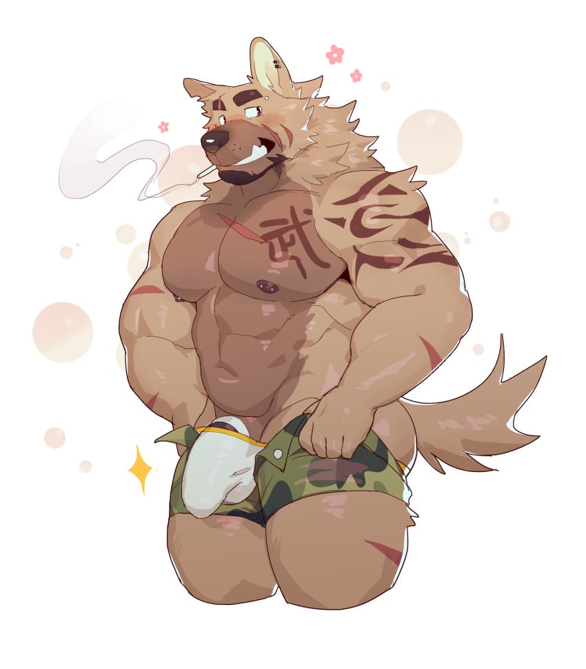 1boy abs absurdres animal_ears anthro_only ass bad_id bad_weibo_id bara barbell_piercing blush brown_fur bulge camouflage camouflage_pants camouflage_shorts cigarette cock_ring cropped_legs dog_boy dog_ears dog_tail dressing eyebrow_cut facial_hair furry furry_male goatee grin happy_aura highres jockstrap large_bulge large_pectorals lveink male_focus male_underwear mature_male meme muscular muscular_male navel nipples open_clothes open_fly open_shorts original pants pants_lift pectorals penis penis_peek piercing scar scar_on_arm scar_on_chest scar_on_leg sex_toy short_hair shorts smile smirk smoking solo sparkle stomach tail thick_thighs thighs tight_pants_(meme) topless_male undersized_clothes underwear white_male_underwear