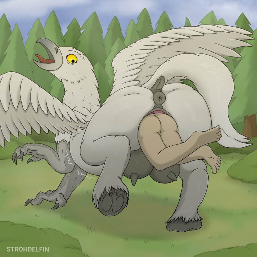 1:1 anus avian big_crotchboobs claws crotchboobs duo equid equine european_mythology feathers female female_feral feral forest genitals greek_mythology hi_res highwing_(hogwarts_legacy) hippogriff hogwarts_legacy hooves human human_on_feral interspecies looking_back male male/female mammal mythological_avian mythology open_mouth plant pussy shocked strohdelfin tree unbirthing vaginal_penetration vore white_body wings zoophilia