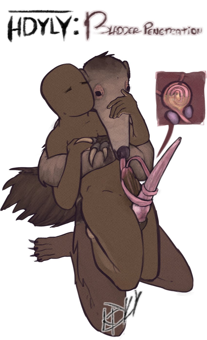 anon anteater being_held big_dom_small_sub black_nose bladder bladder_penetration bodily_fluids carrying carrying_another carrying_partner clawed_fingers claws detailed_internal detailed_penis digital_media_(artwork) dominant double_masturbation duo duo_focus ejaculation feral frottage fur fur_markings genital_fluids genitals grinding grinding_on_penis group hand_on_head hand_on_snout hands-free hdyly hi_res human inside internal long_penis long_tongue male male/male mammal markings masturbation oral organs paws peeing peeing_self penetration penis penis_size_difference pilosan prostate prostate_sounding prostate_stimulation sex signature size_difference size_play tail tapering_penis toe_claws tongue tongue_out tongue_wrap tonguejob urethra urethral urethral_masturbation urethral_penetration urethral_tonguing urinating urinating_male urination urine watersports xenarthran xray_view