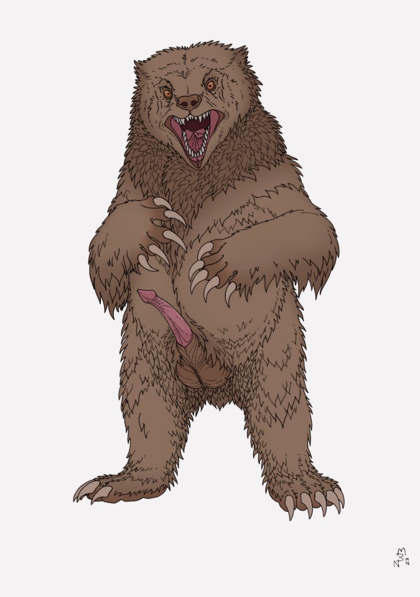 absurd_res animal_genitalia animal_penis balls bear brown_body brown_fur claws digital_media_(artwork) erection feral fur genitals half-erect hi_res looking_at_viewer male mammal mixed_media nude open_mouth pen_(artwork) penis pink_penis sheath simple_background solo standing tail teeth tongue traditional_media_(artwork) white_background zw3