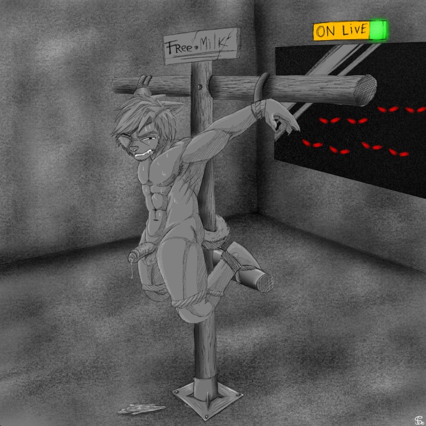 1boy anthro anthro_only audience clenched_teeth cross crucifixion full_body furry furry_male furry_only glowing_red_eyes hi_res indoors livestream male male/male male_only penis placard precum red_eyes sergld sex_torture sign solo uncensored