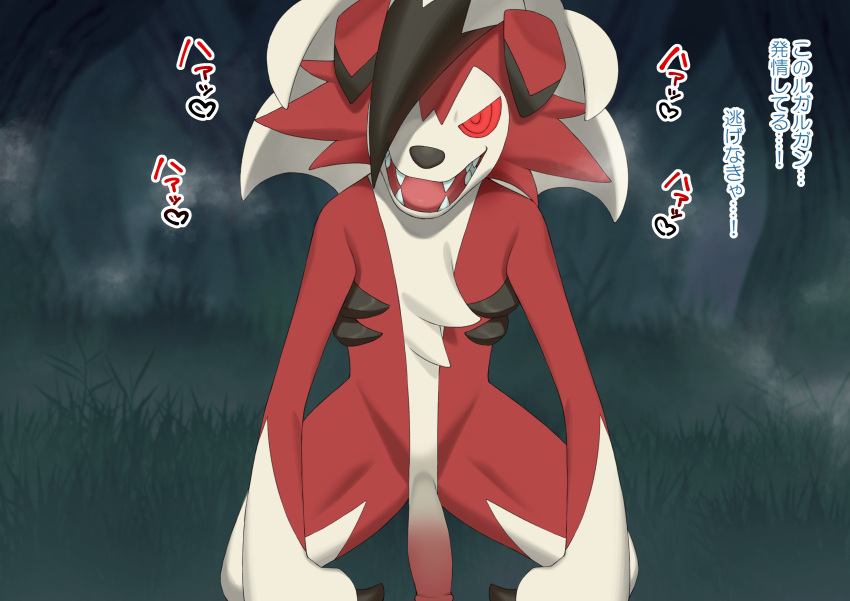 2023 absurd_res anthro big_penis fur generation_7_pokemon genitals hayashi_(artist) hi_res lin_(artist) looking_at_viewer lycanroc male midnight_lycanroc nintendo nude penis pokemon pokemon_(species) red_body red_eyes red_fur solo text translation_request white_body white_fur