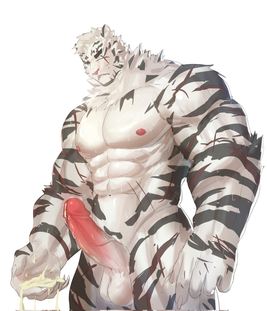 1boy abs animal_ears arknights bara completely_nude cum cum_on_hands erection facial_hair feet_out_of_frame furry furry_male goatee highres large_hands large_pectorals large_penis looking_at_penis male_focus mountain_(arknights) muscular muscular_male nipples nude onlybwg3 pectorals penis scar scar_across_eye scar_on_arm short_hair solo stomach sweat thick_eyebrows thick_thighs thighs tiger_boy tiger_ears veins veiny_penis white_hair