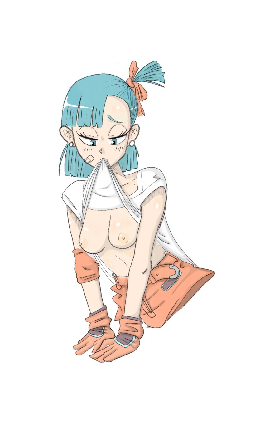 asian asian_female blue_eyes blue_hair bulma bulma_briefs clothing dragon_ball dragon_ball_(classic) female kromgaru light-skinned_female light_skin small_breasts teenage_bulma teenage_girl teenager