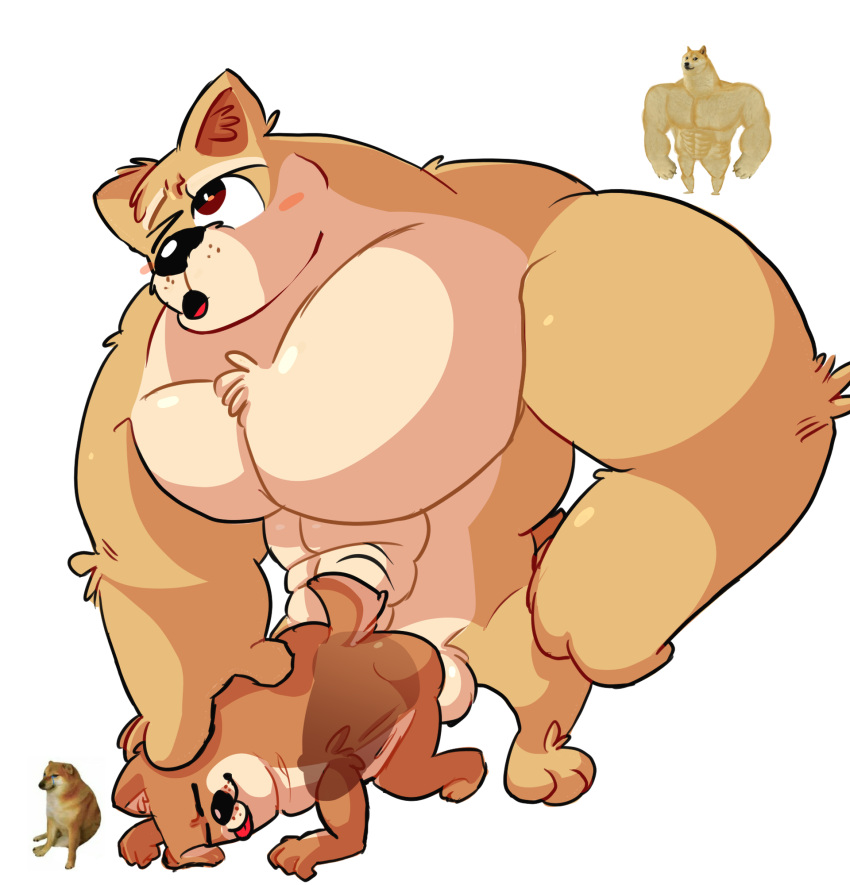 anal anthro anthro_on_anthro anthro_penetrating_anthro big_dom_small_sub blush buff cheems cute doge doggy_style forced furry holding_head looking_up male male/female male_penetrating_female meme muscular_anthro muscular_male size_difference tongue_out white_background