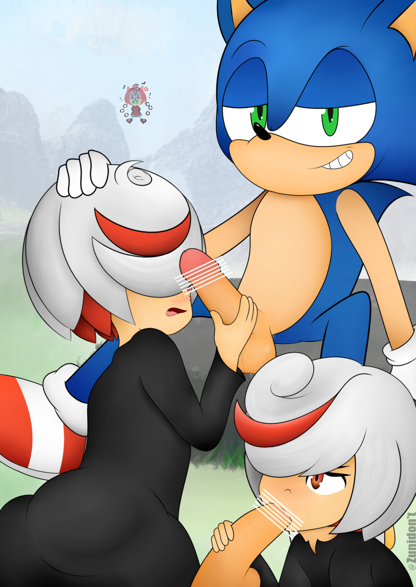 1boy 1girls 2020s 2023 2girls amy_rose angry anthro artificial_intelligence artist_name ass bar_censor black_cloak blue_fur blush censored cloak clothed clothed_female erection fellatio female furry green_eyes hair_over_one_eye hedgehog hi_res imminent_orgasm interspecies looking_at_viewer male male/female medium_hair mist nature open_mouth oral outdoors penis penis_grab red_eyes sage_(sonic_frontiers) sitting sitting_on_rock smirk smug sonic_(series) sonic_frontiers sonic_the_hedgehog sucking_tip testicles white_hair zunidont