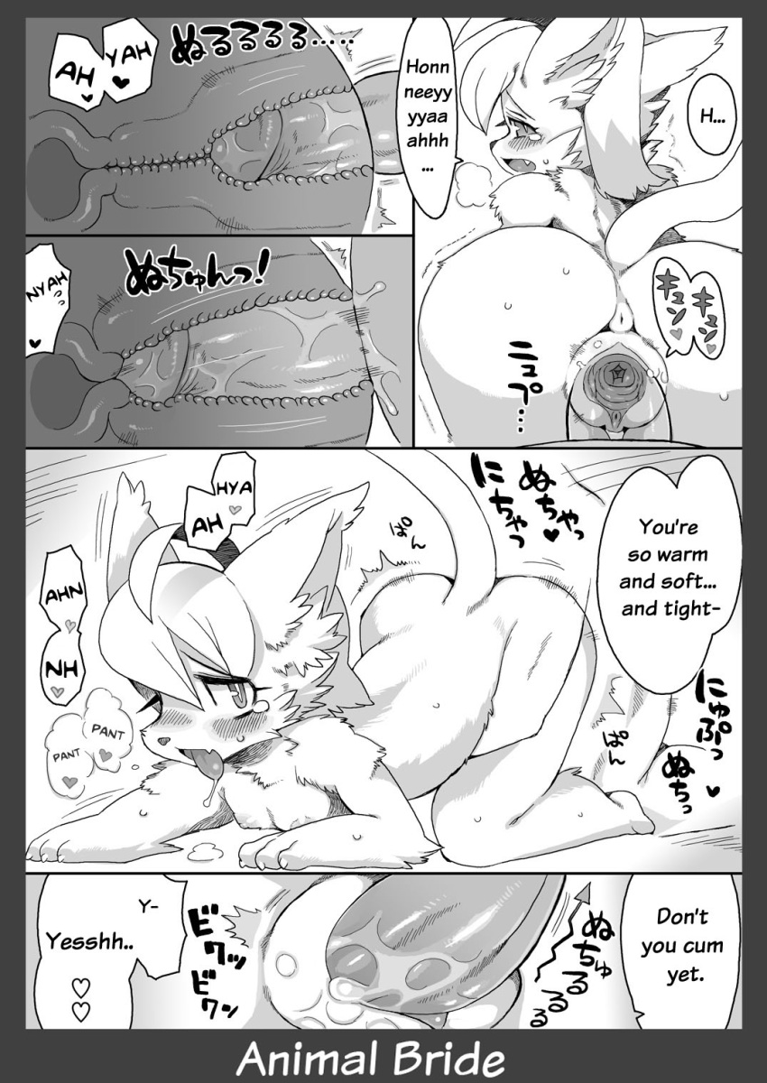 animal_bride comic cum english_text feline female heart human humanoid interspecies male ricosye saliva sex straight text tongue_out translated vaginal_penetration