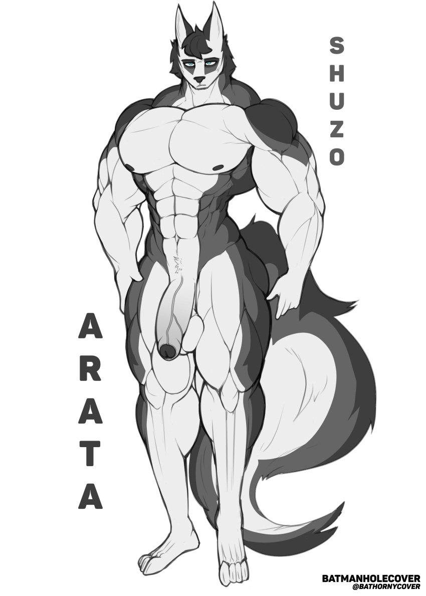 abs absurd_res anthro arata_(batmanholecover) batmanholecover big_muscles blue_eyes canid canine foreskin genitals hi_res male male_only mammal muscular muscular_male nude penis solo watermark