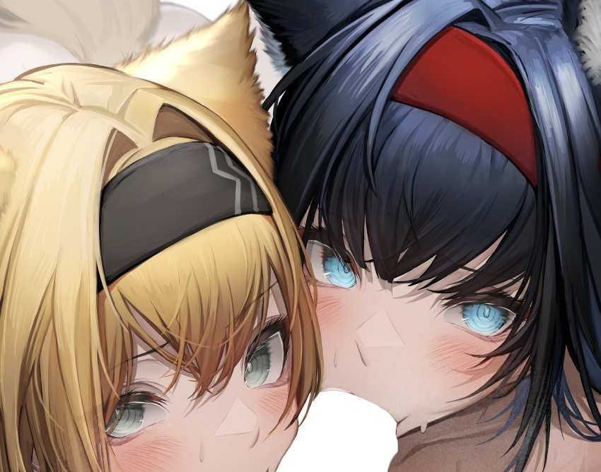 1boy 2girls absurdres animal_ears arknights black_hair black_hairband blank_censor blaze_(arknights) blonde_hair blue_eyes blush cat_ears cat_girl censored close-up collaborative_fellatio cropped double_fellatio fellatio green_eyes hair_between_eyes hair_intakes hairband highres horn_(arknights) looking_at_viewer multiple_girls paid_reward_available red_hairband tab_head teamwork wolf_ears wolf_girl