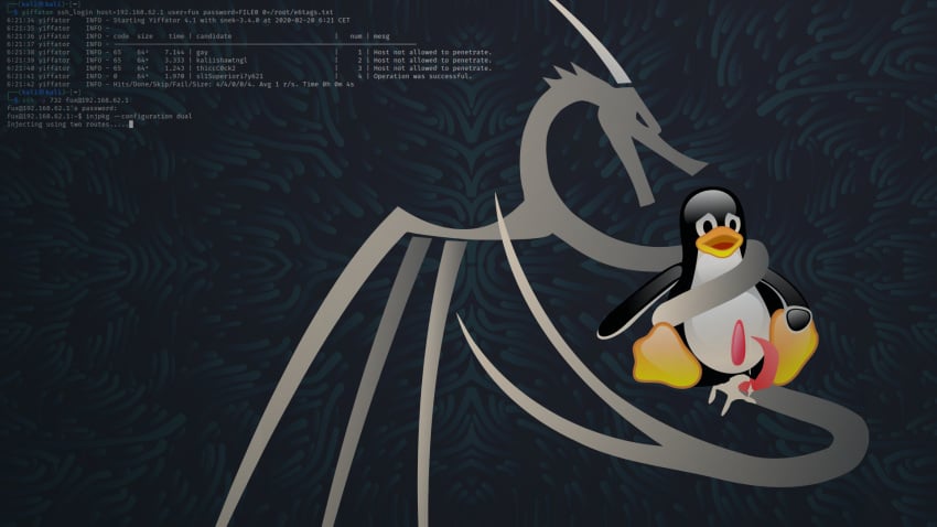 avian bird dragon duo hi_res kali_linux linux male male/male penguin tux_the_penguin what