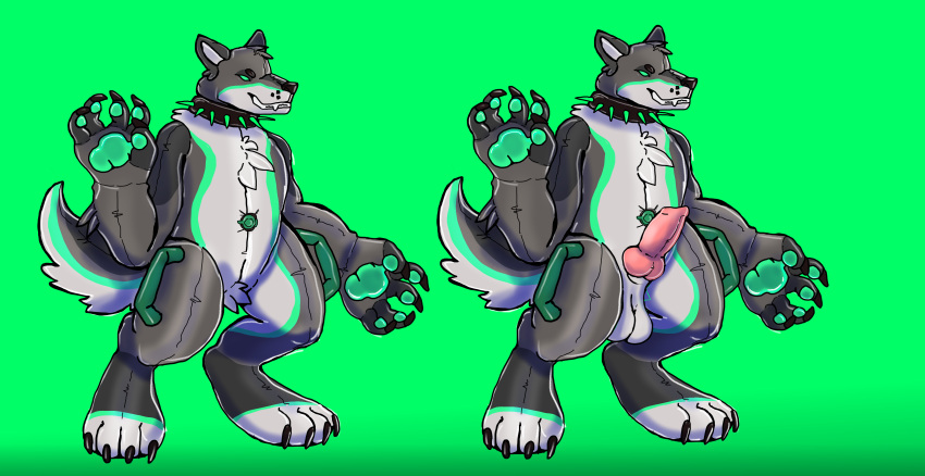 absurd_res anthro canid canine canis collar genitals handles hi_res inflatable inflation knot male mammal oshaviolation pawpads paws penis pool_toy rubber rubber_creature solo spiked_collar spikes were werecanid werecanine werewolf wolf