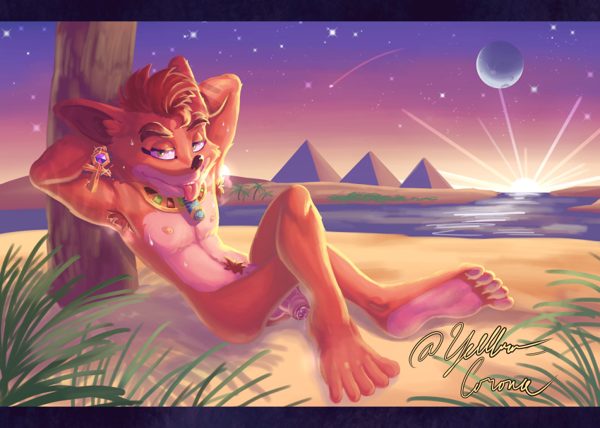 Crash Bandicoot (Activision) Rule 34 Image
