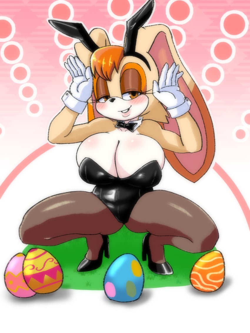 Vanilla The Rabbit (Sega) Rule 34 Image