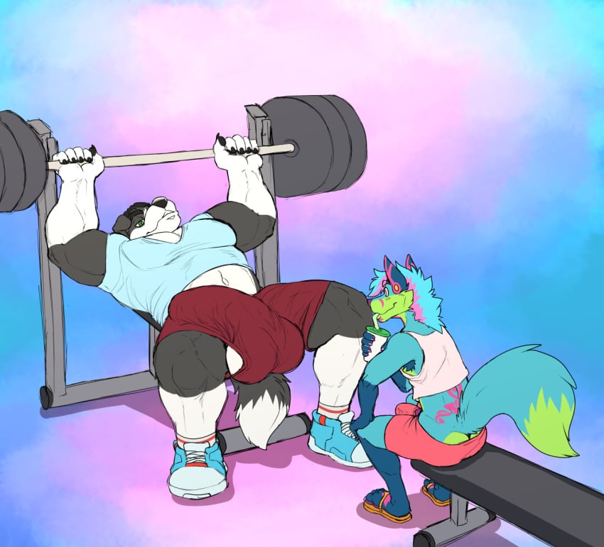 anthro big_bulge bottomwear bulge canid canine canis clothing detailed_bulge domestic_dog duo exercise filut fox male mammal shorts side_balls theneonfox weightlifting workout yazoo