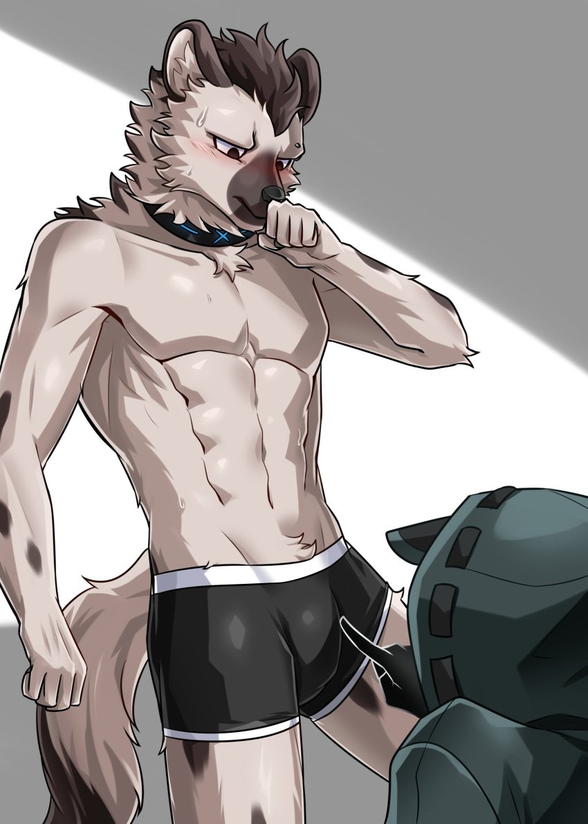 2023 5_fingers absurd_res anthro arknights athletic athletic_anthro athletic_male black_body black_clothing black_fur black_hair blush bulge clothed clothing coat collar doctor_(arknights) duo e_convenient fingers fur grey_body grey_fur hair hi_res hyena hypergryph looking_at_another male male/male males_only mammal spot_(arknights) spots spotted_body spotted_fur spotted_hyena studio_montagne topwear touching_bulge underwear underwear_only yaoi