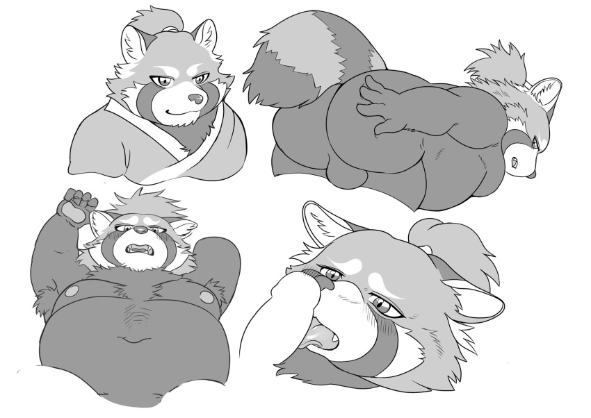 2023 anthro armpit_hair ass backsack balls belly big_belly body_hair canid canine genitals hi_res hysk kemono licking male mammal monochrome moobs navel nipples oral overweight overweight_male penile penis penis_lick raccoon_dog sex solo tanuki tongue tongue_out