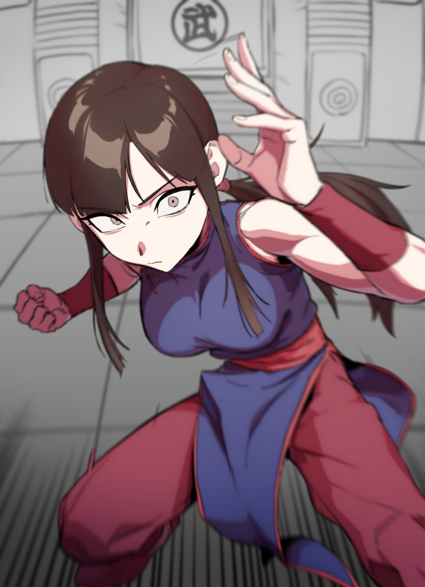 1girls attacking_viewer brown_hair chichi chinese_clothes chinese_dress colored dragon_ball grey_eyes imminent_attack incoming_attack incoming_punch looking_at_viewer martial_arts martial_arts_uniform ponytail serious serious_look solo solo_female zquung