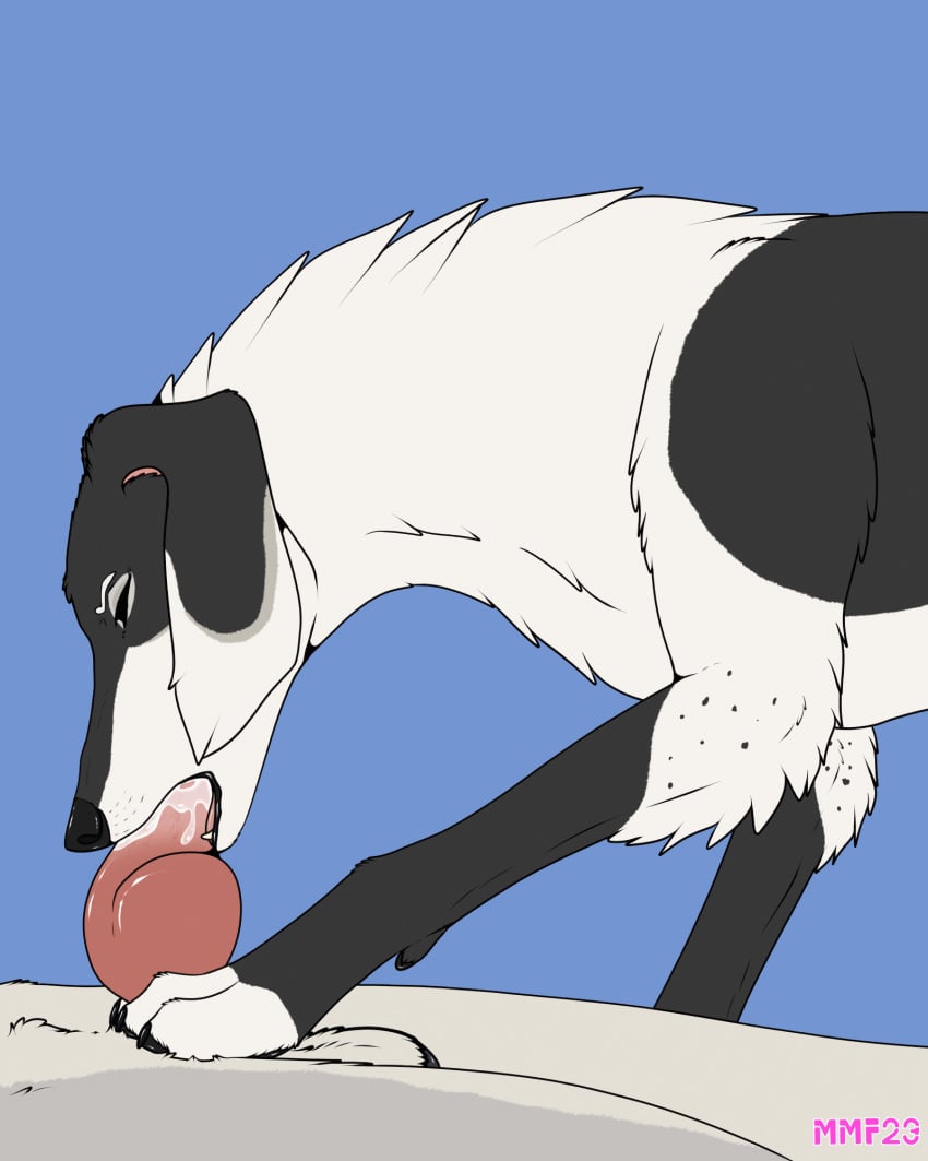 4:5 animated anthro anthro_on_feral bodily_fluids canid canine canis cum domestic_dog duo female feral genital_fluids hi_res hunting_dog male male/female mammal mechanical_monster_factory oral paws saluki short_playtime sighthound tongue whyte_(daemon_lady) zoophilia