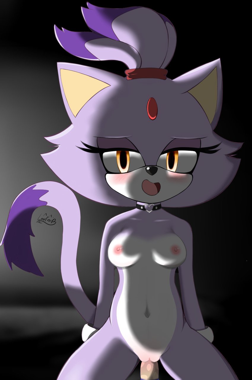 1boy 1girls anthro blaze_the_cat blue_fur blush breasts brown_eyes choker dark_room female female_anthro female_on_top lavender_fur loufmir_(artist) male male_anthro male_out_of_frame male_pov nipples open_mouth penetration pov sex sonic_(series) sonic_the_hedgehog sonic_the_hedgehog_(series) straight vaginal_penetration white_fur