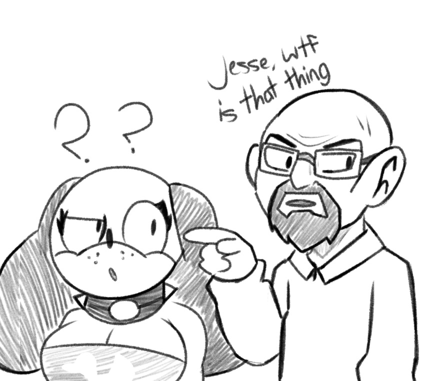 1boy 1girls 2023 anthro bald best_post_ever big_breasts breaking_bad breasts cleavage clothing crossover dog dog_ears dog_girl duck_hunt duck_hunt_dog eastern_and_western_character english_text female furry glasses goatee huntress_(lewdewott) lewdewott male meme nintendo question_mark rule_63 sketch spiked_collar text walter_white weird_crossover