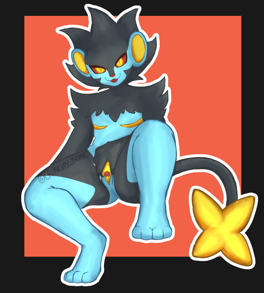 absurd_res andromorph crunchybone cuntboy feral generation_4_pokemon hi_res intersex luxray nintendo paws pokemon pokemon_(species) presenting solo