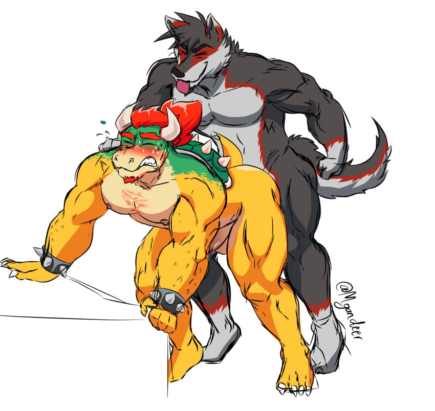 2boys anal barazoku bowser canid canine gay hi_res koopa male male_only mammal mario_(series) morgandeer multiple_boys muscular muscular_male nintendo scalie sex white_background