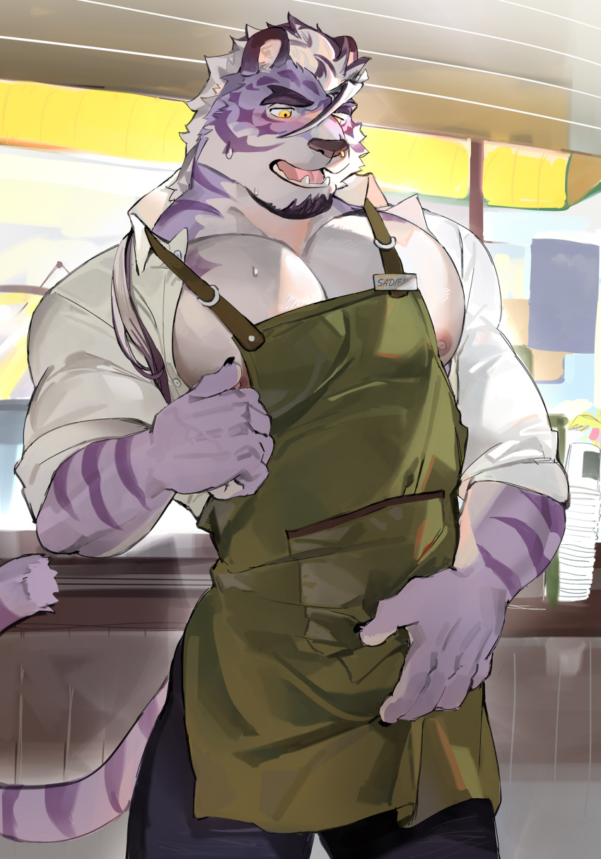 2023 anthro apron areola barista beard biceps big_pecs biped blush bodily_fluids bottomwear bulge bulge_grab clothed clothing digital_media_(artwork) eyebrows facial_hair felid fully_clothed fur genital_outline grey_nose hi_res male mammal muscular muscular_anthro muscular_male nipple_fetish nipple_play nipples open_clothing open_mouth open_shirt open_topwear pantherine pants pecs penis_outline pinup pose purple_body purple_fur purple_stripes sadiend seatohao shirt solo striped_body striped_fur stripes sweat tail teeth tiger tongue topwear white_body white_fur yellow_eyes