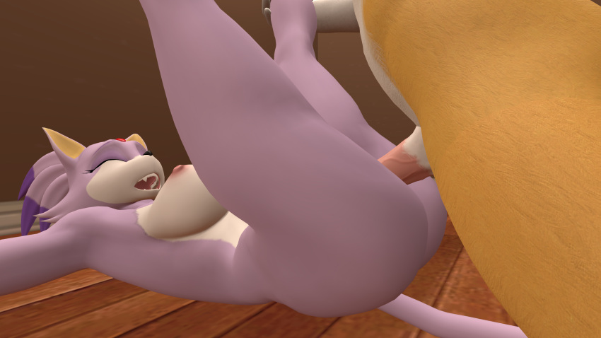 3d 3d_(artwork) 3d_model ass blaze_the_cat blaze_the_cat_(warfaremchine) breasts cat_girl catgirl feline fox fox_mccloud furry furry_ass furry_breasts furry_only leg_grab legs_up naked nipples no_bra nude_female on_floor partial_male penis_in_pussy purple_body purple_fur purple_skin sex sex_on_floor sfm small_boobs small_breasts small_tits sonic_(series) sonic_the_hedgehog_(series) source_filmmaker star_fox video_games warfare_blaze warfaremachine