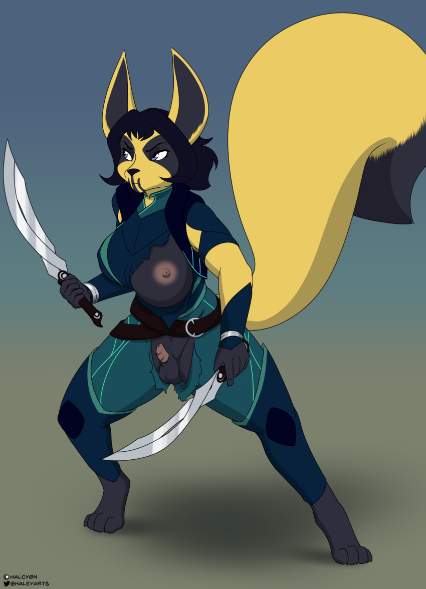 2023 anthro balls barefoot belt black_hair breasts canid clothing dipstick_tail dual_wielding feet futa_only futanari genitals gynomorph hair halcy0n hi_res holding_object holding_sword holding_weapon intersex looking_aside mammal markings melee_weapon nipples penis simple_background standing sword tail tail_markings torn_clothing weapon