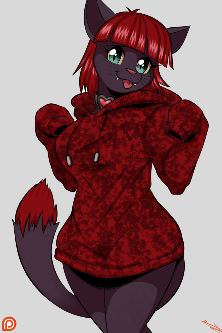 anthro cute cute_fangs feline furry half-dressed lucky_(ralsei746) oversized_hoodie oversized_sleeves ruffyyoshi sparkling_eyes