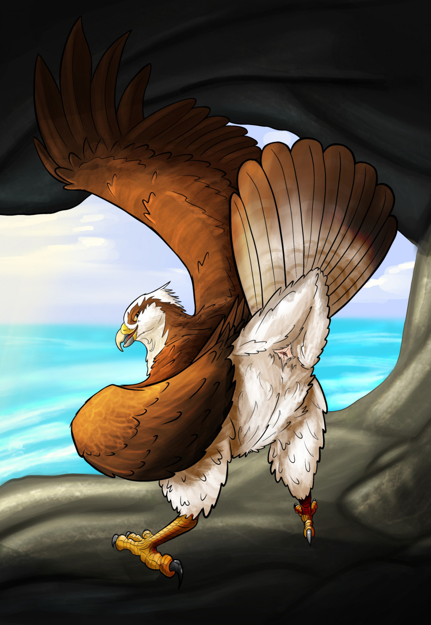 2023 accipitriform ambiguous_gender animal_genitalia avian avian_butt bird brown_body brown_feathers character_request cloaca copyright_request feathers feral genitals hi_res osprey presenting presenting_cloaca presenting_hindquarters rear_view sea solo water wingz31