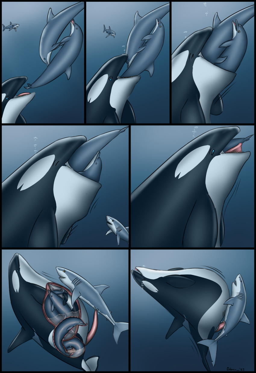 69_position ambiguous_gender ambiguous_prey animal_genitalia animal_penis bodily_fluids bottlenose_dolphin cetacean cetacean_genitalia cetacean_penis cloacal cloacal_penetration comic cum cum_in_cloaca cum_inside dolorcin dolphin erection feral feral_pred feral_prey fish fully_inside genital_fluids genitals group hi_res inside_stomach internal larger_pred male male/ambiguous male_pred male_prey mammal marine mass_vore multiple_prey oceanic_dolphin oral oral_vore orca penetration penis sex shark smaller_prey soft_vore stuffing tapering_penis toothed_whale underwater underwater_sex vore water xray_view