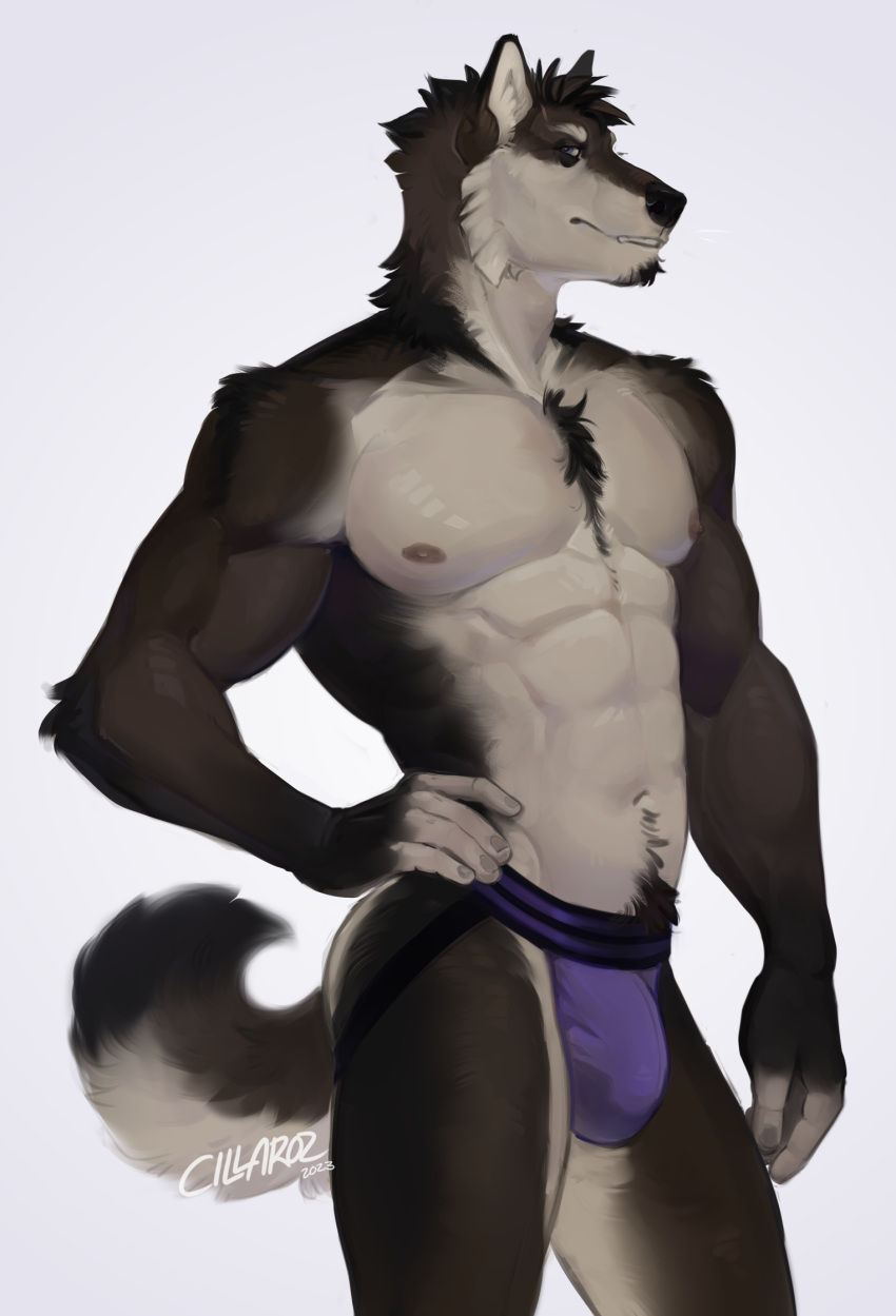 abs anthro bedroom_eyes black_body black_fur black_hair black_nose body_hair brown_body brown_fur bulge canid canine canis cheek_tuft chest_hair chest_tuft cillaroz clothed clothing dipstick_tail eyebrows facial_hair facial_tuft fur genital_outline goatee hair hi_res jockstrap jockstrap_only looking_at_viewer male male_only mammal markings mexican_wolf multicolored_body multicolored_fur muscular muscular_anthro muscular_male narrowed_eyes nipples pecs penis_outline pubes pubes_exposed purple_clothing purple_underwear sade_(canonical) scar_on_face seductive simple_background smile smiling_at_viewer solo solo_focus tail tail_markings topless tuft two_tone_body two_tone_fur underwear underwear_only white_body white_eyebrows white_fur wolf