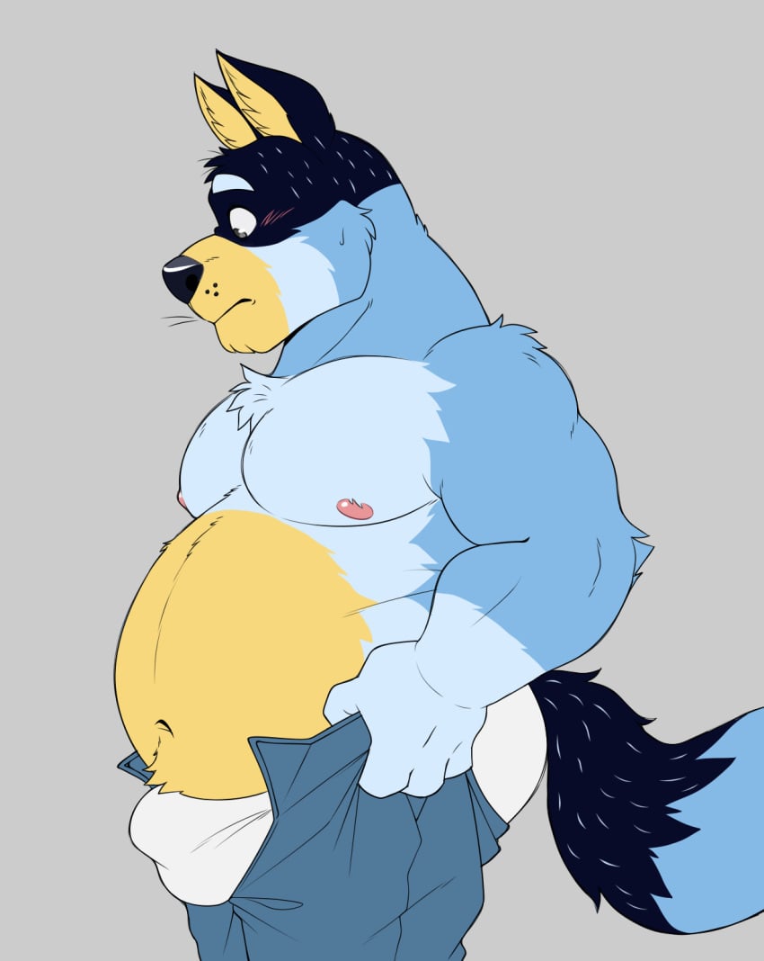 1boy 2023 anthro australian_cattle_dog bandit_heeler bara belly big_belly big_bulge bluey_(series) blush bottomwear bottomwear_pull bulge canid canine canis cattledog clothed clothing clothing_pull denim denim_clothing domestic_dog dressing eyebrows frown fur gay herding_dog hi_res ijpalette-color jeans looking_down male male_only mammal meme musclegut muscular muscular_anthro muscular_male navel nipples overweight overweight_anthro overweight_male pants pants_pull pastoral_dog pecs side_view solo standing tight_bottomwear tight_clothing tight_jeans tight_pants tight_pants_(meme) topless topless_anthro topless_male tuft underwear